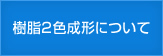 樹脂2色成形について